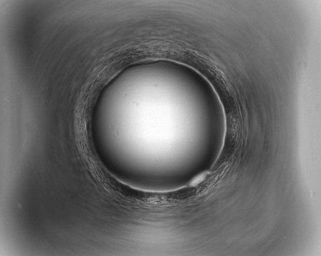 X0000093721489200710161048
