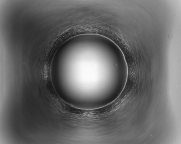 X0000093721490200710161048