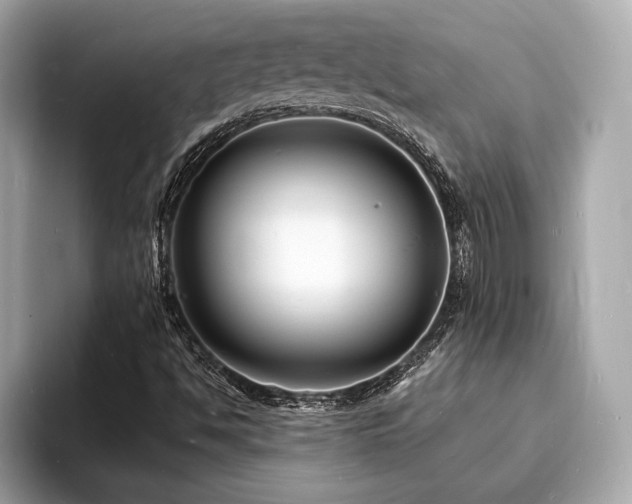 X0000093721494200710161049