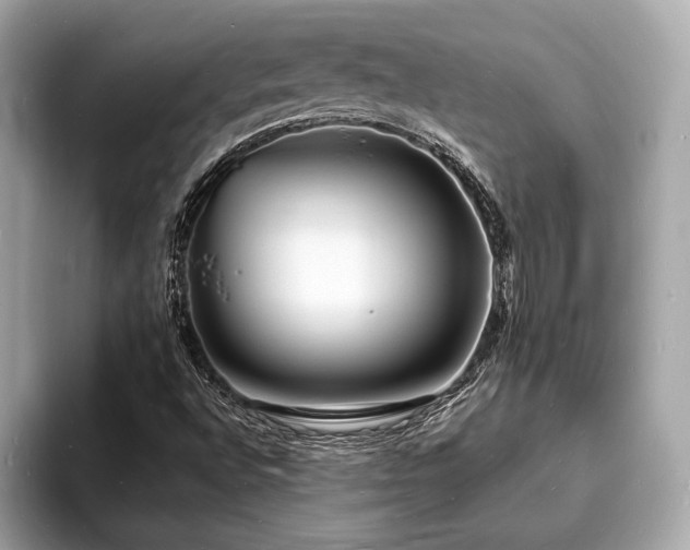 X0000093721496200710161049