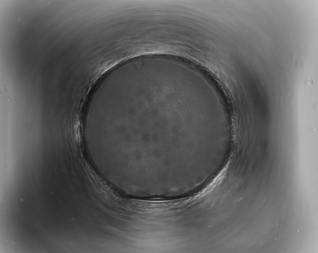 X0000093721497200710161049