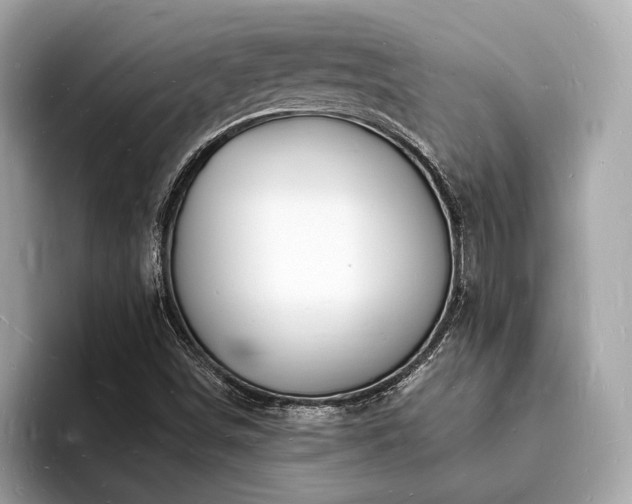 X0000093721498200710161049