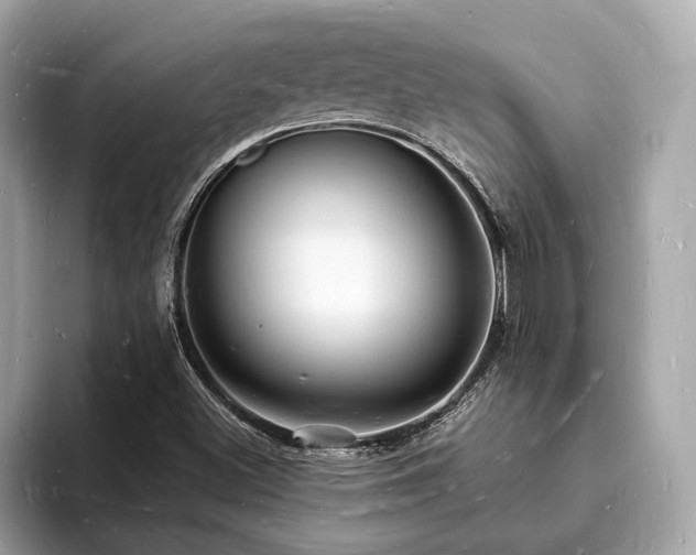 X0000093721500200710161049