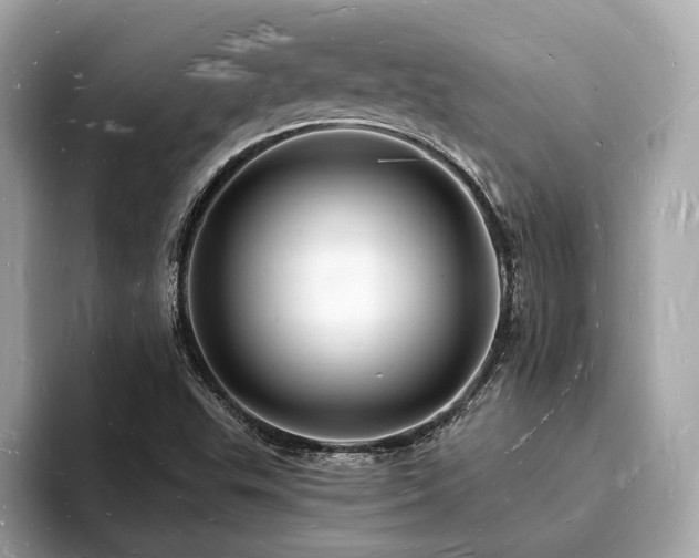 X0000093721503200710161049
