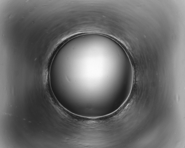 X0000093721507200710161049