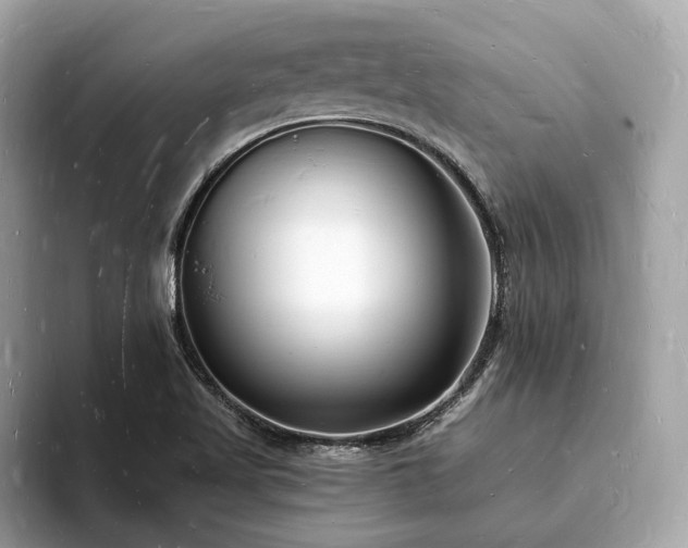 X0000093721509200710161049