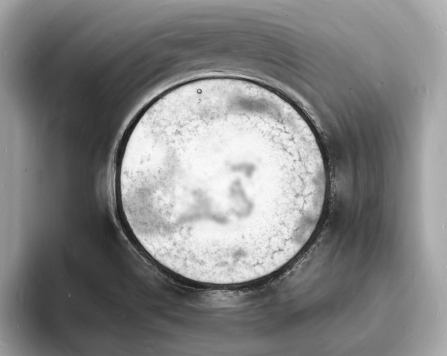 X0000093721514200710161049