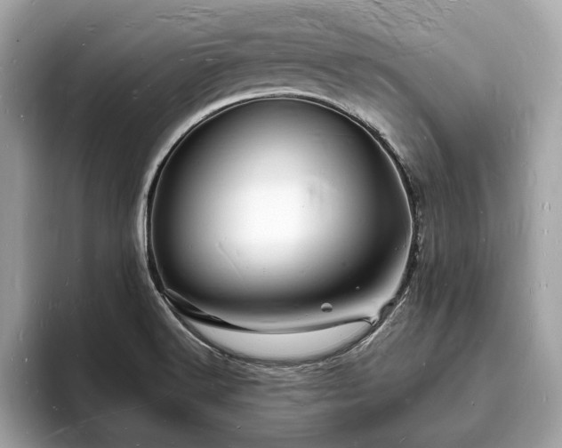 X0000093721516200710161049
