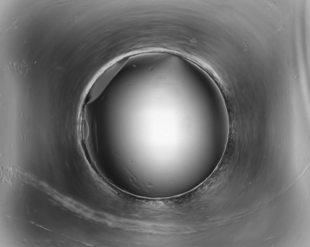 X0000093721524200710161049