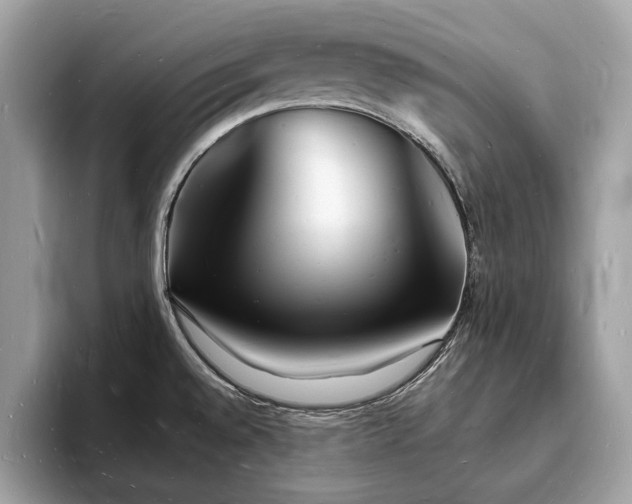 X0000093721528200710161049