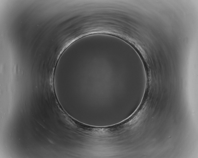 X0000093721529200710161049