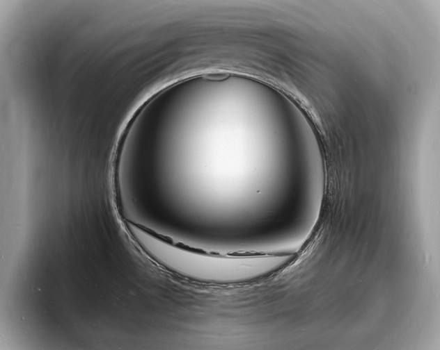 X0000093721530200710161049