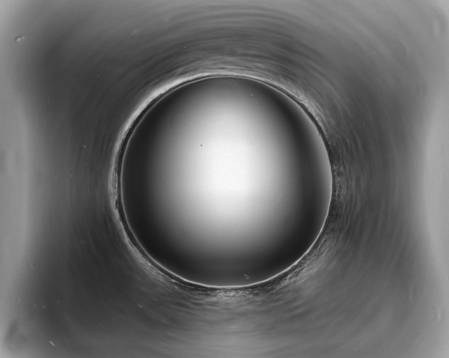 X0000093721531200710161049