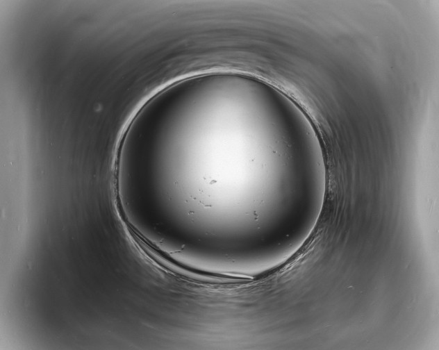 X0000093721532200710161049
