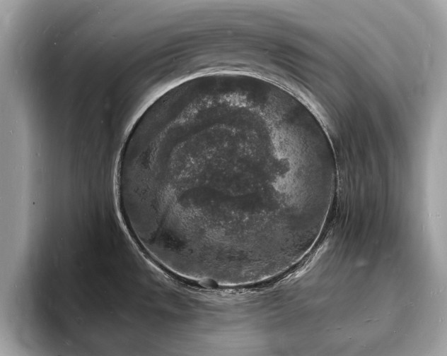 X0000093721533200710161049
