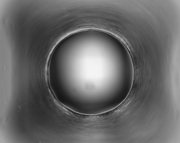 X0000093721535200710161049
