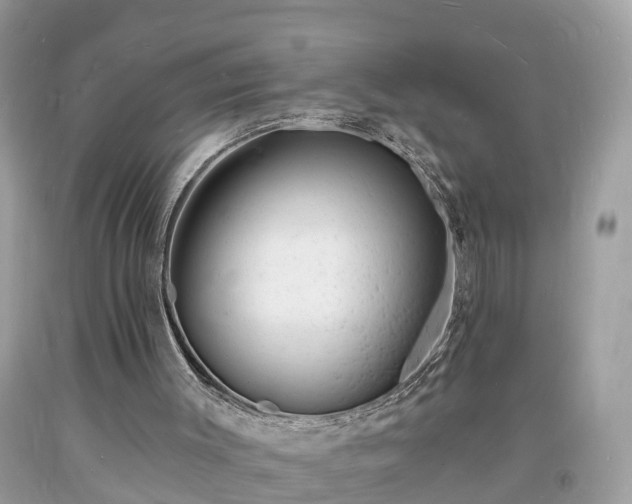 X0000093720003200710231141