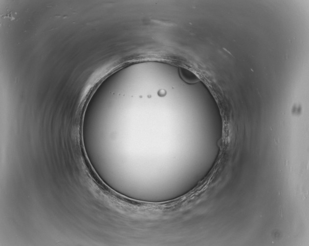 X0000093720004200710231141