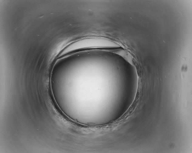X0000093720005200710231141