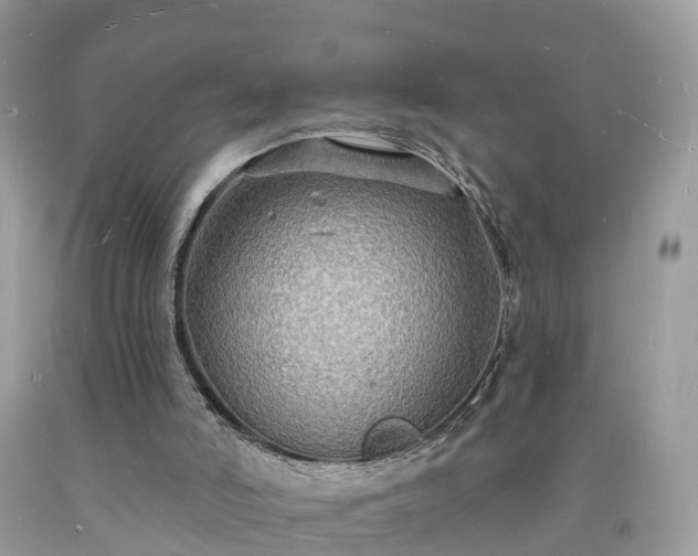 X0000093720006200710231141