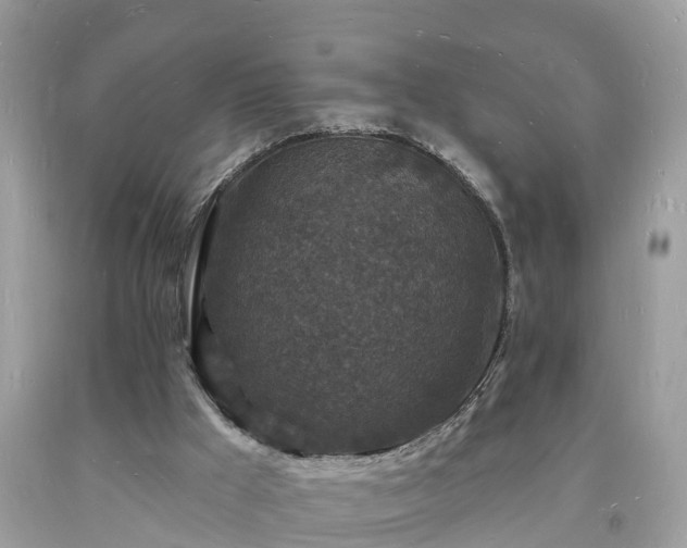 X0000093720009200710231141