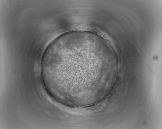 X0000093720012200710231141