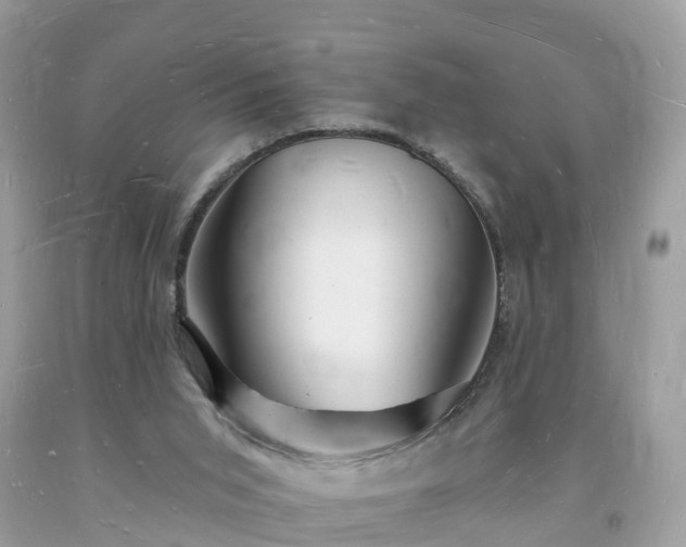 X0000093720015200710231141