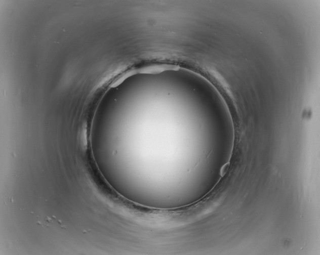 X0000093720020200710231141