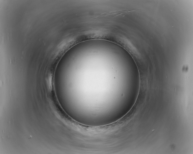 X0000093720022200710231141