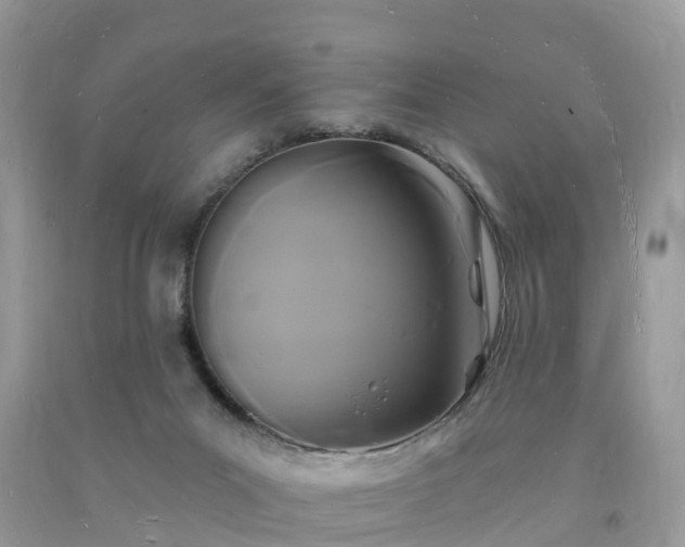 X0000093720023200710231141