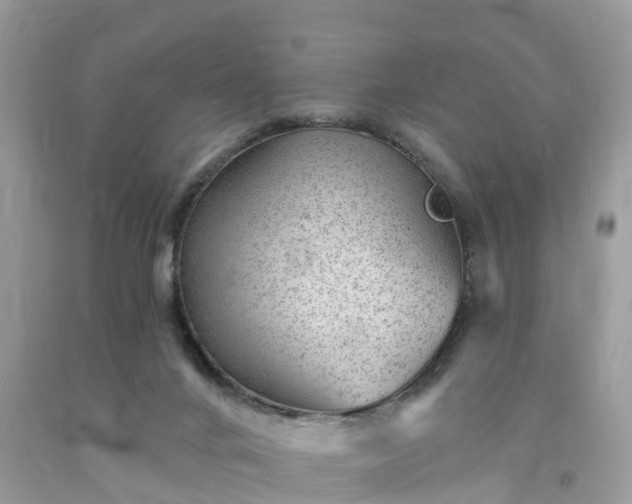 X0000093720024200710231141
