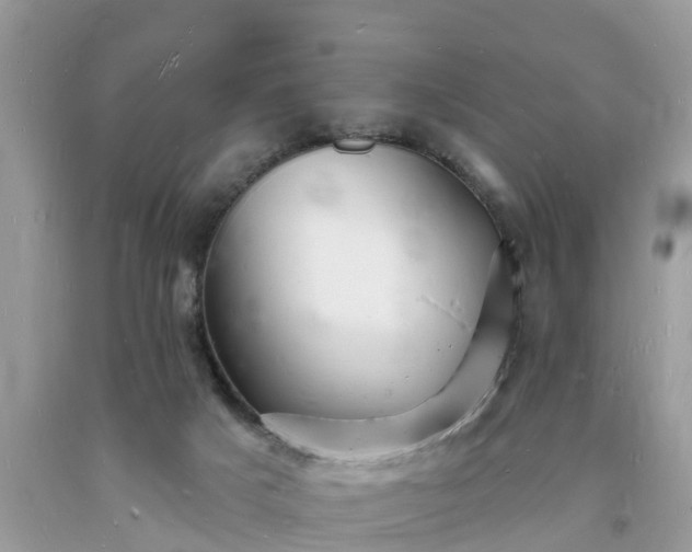 X0000093720025200710231141