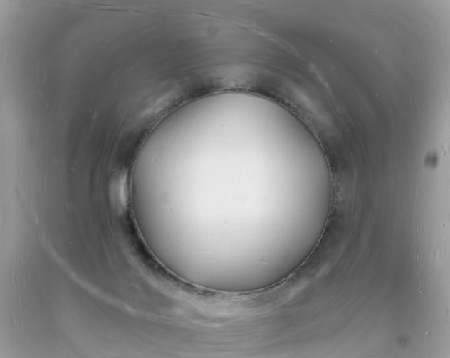 X0000093720028200710231141