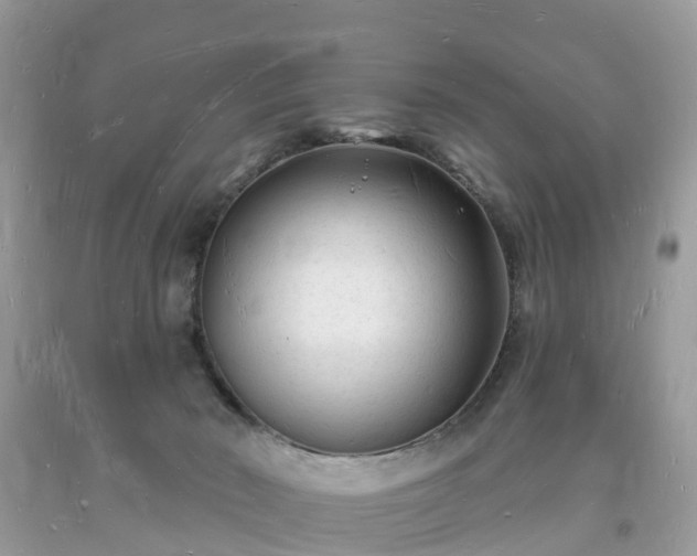 X0000093720030200710231141
