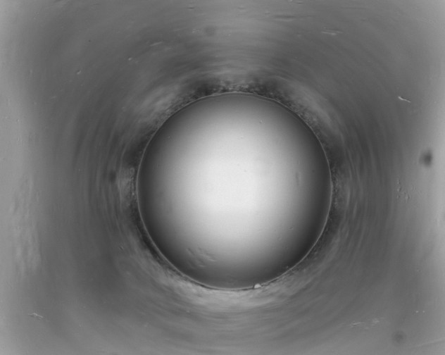 X0000093720034200710231140