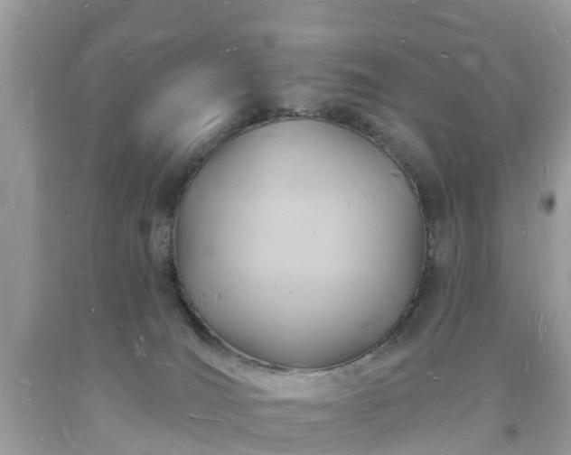 X0000093720036200710231140