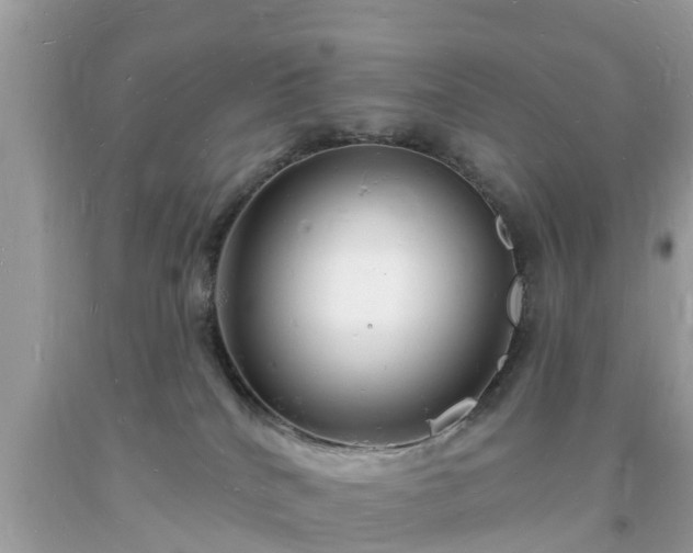 X0000093720040200710231140