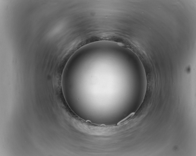X0000093720044200710231140