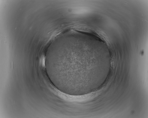X0000093720046200710231140