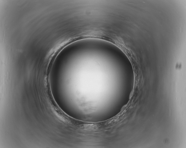 X0000093720050200710231140
