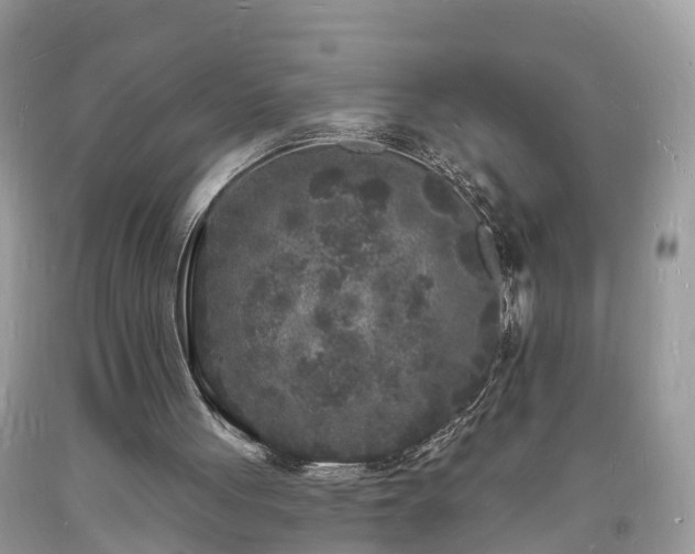 X0000093720051200710231140