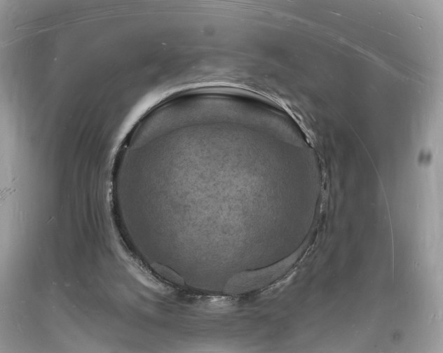 X0000093720056200710231140