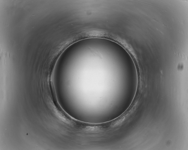 X0000093720057200710231140