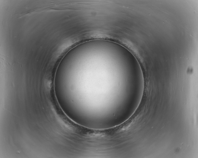 X0000093720063200710231140