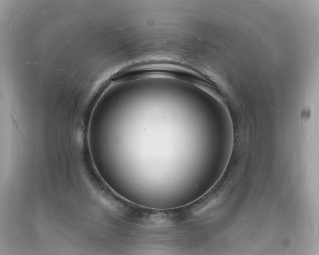 X0000093720064200710231140
