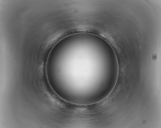 X0000093720066200710231140