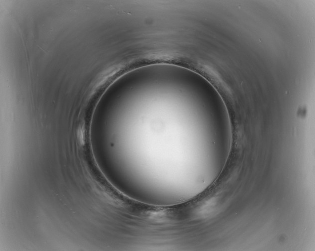 X0000093720068200710231140