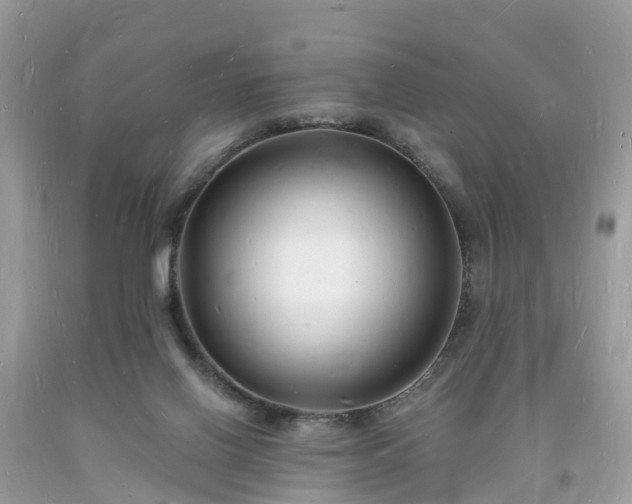 X0000093720070200710231140