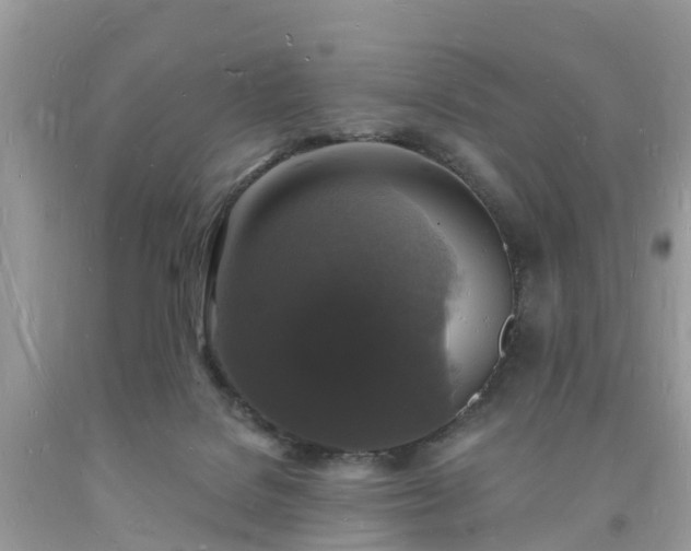 X0000093720076200710231140