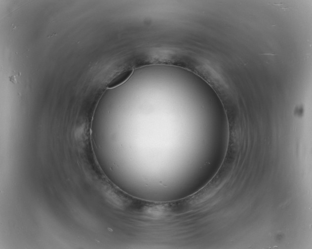 X0000093720079200710231140